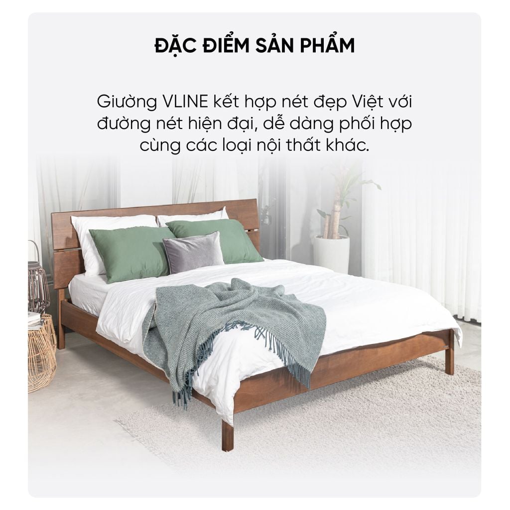 Giường VLINE nâu