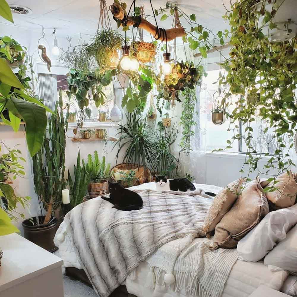 Phòng ngủ trở nên vô cùng ấn tượng với "rừng cây"