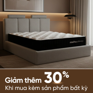 Nệm Lò Xo Sleep Signature